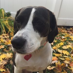 Meet your Posher, Georgia